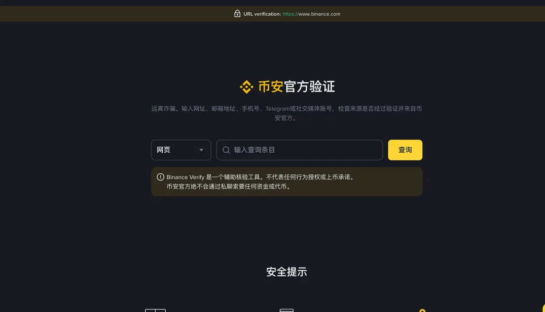 币安官方验证页截图：顶部显示 URL verification https://www.binance.com，中间是类型下拉框（网页）、查询输入框和黄色查询按钮，下方提示框说明 Binance Verify 是辅助核验工具、币安官方绝不会通过私聊索要资金或代币